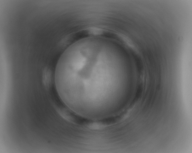 X0000114430598200910231235