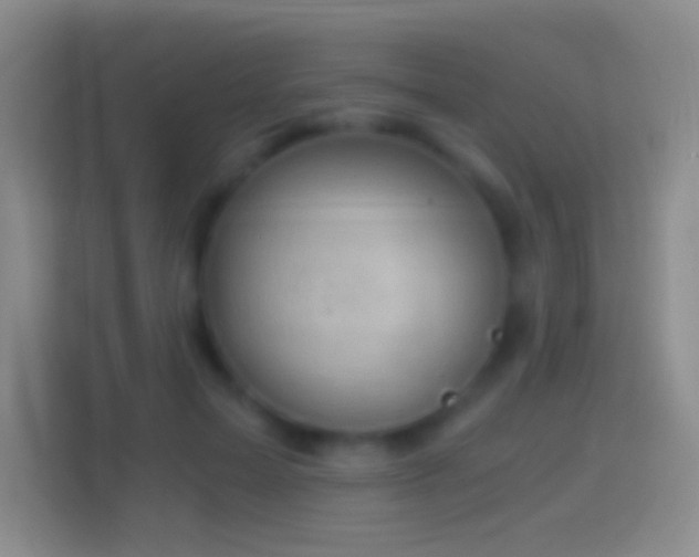 X0000114430599200910231235