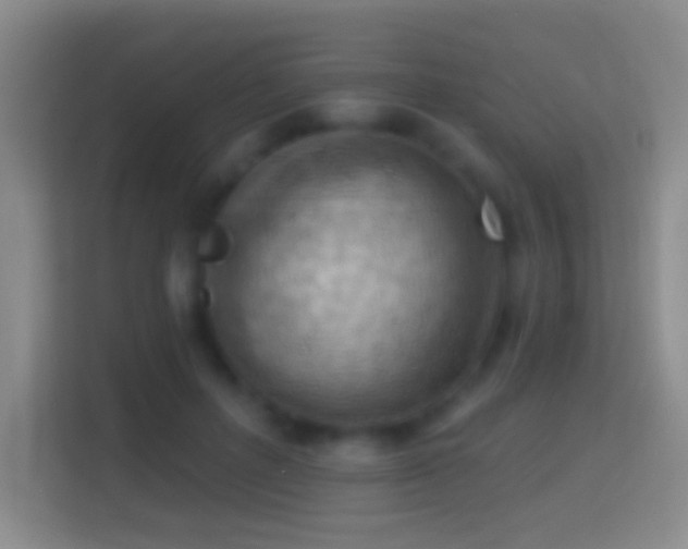 X0000114430600200910231235