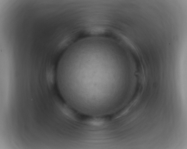 X0000114430604200910231235