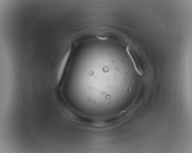 X0000114430605200910231235