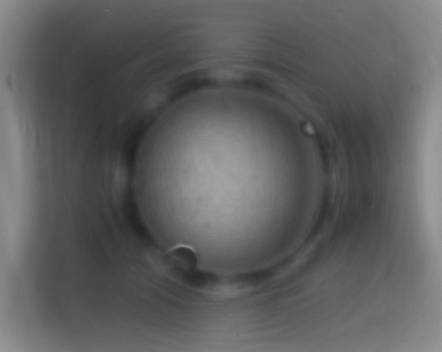X0000114430608200910231235