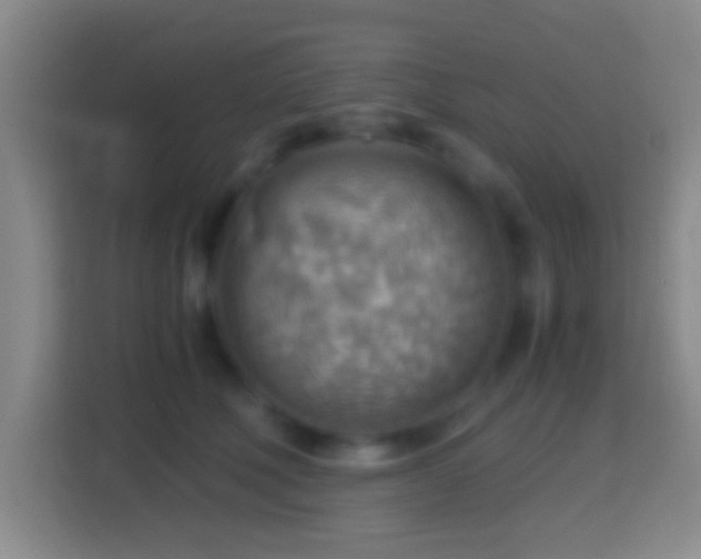 X0000114430610200910231235