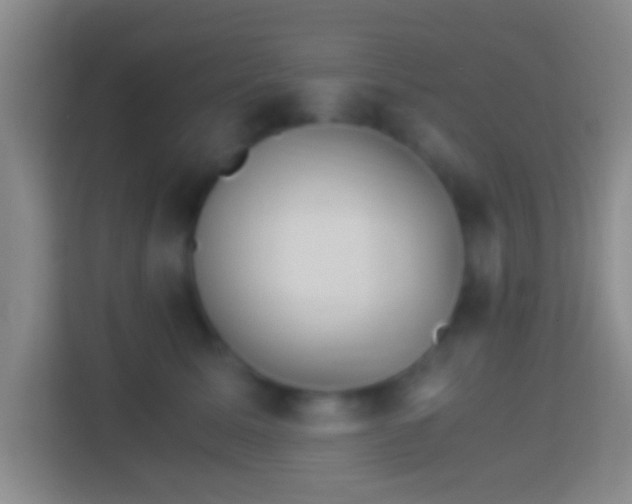 X0000114430611200910231235