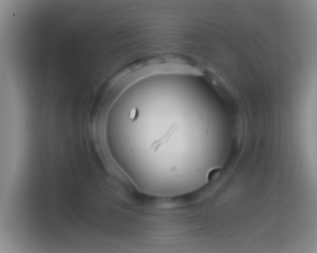 X0000114430613200910231235
