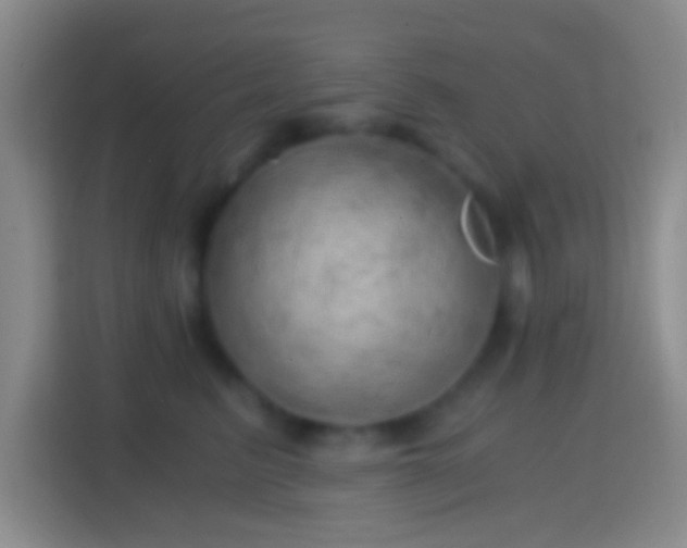 X0000114430615200910231235