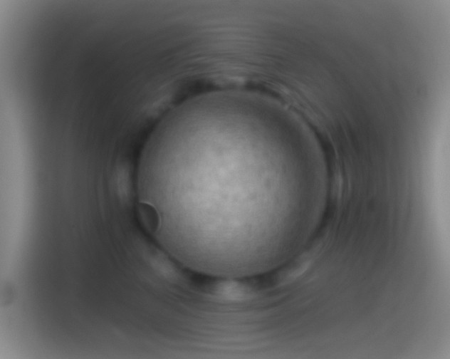 X0000114430616200910231235