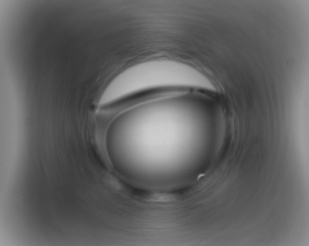 X0000114430617200910231235