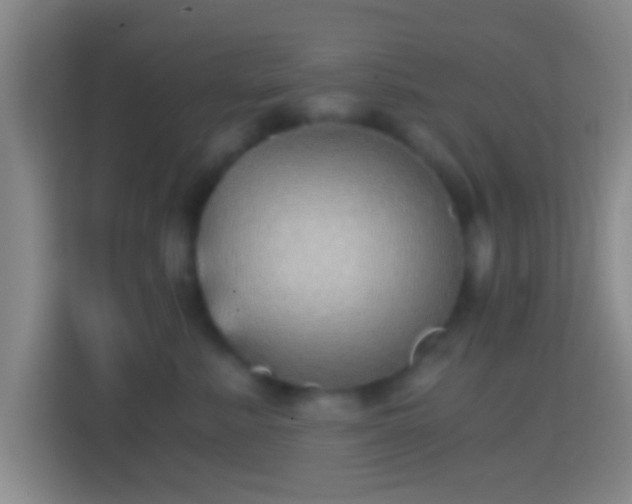 X0000114430619200910231235