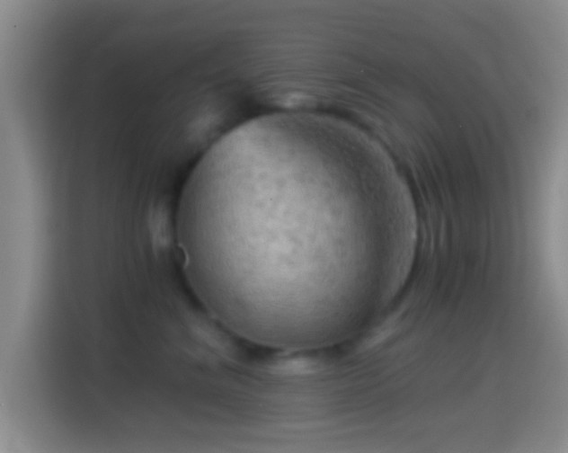 X0000114430620200910231235