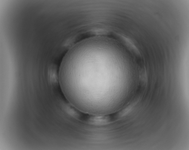 X0000114430622200910231235