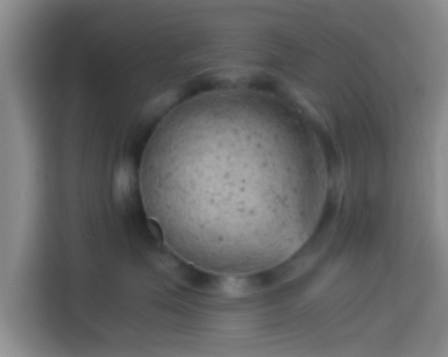 X0000114430623200910231235