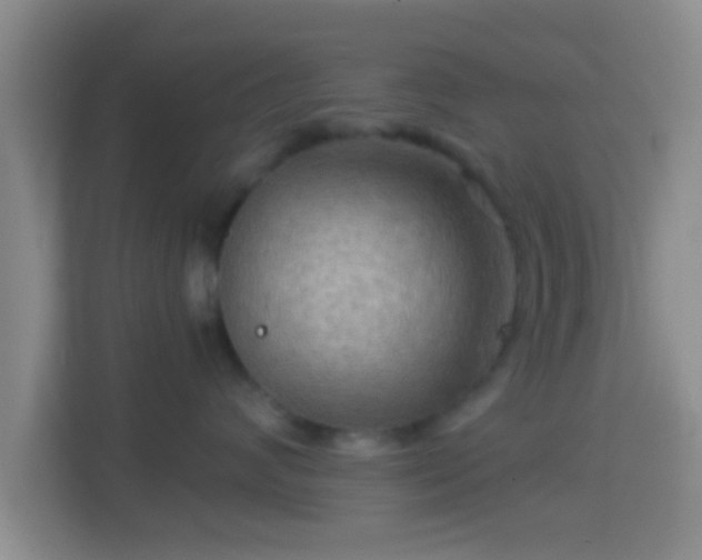 X0000114430624200910231235