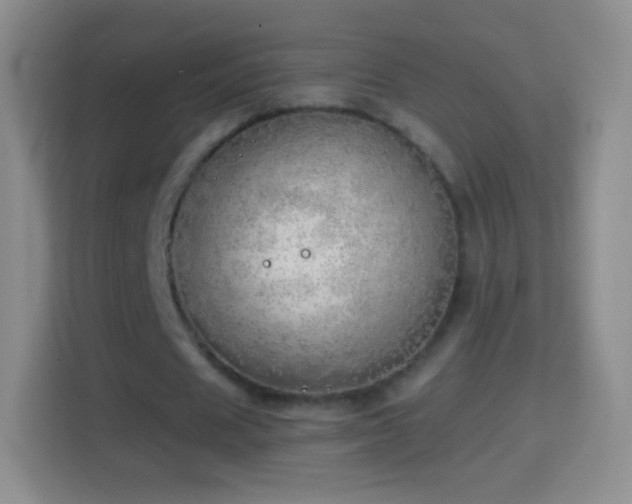 X0000114430625200910231234