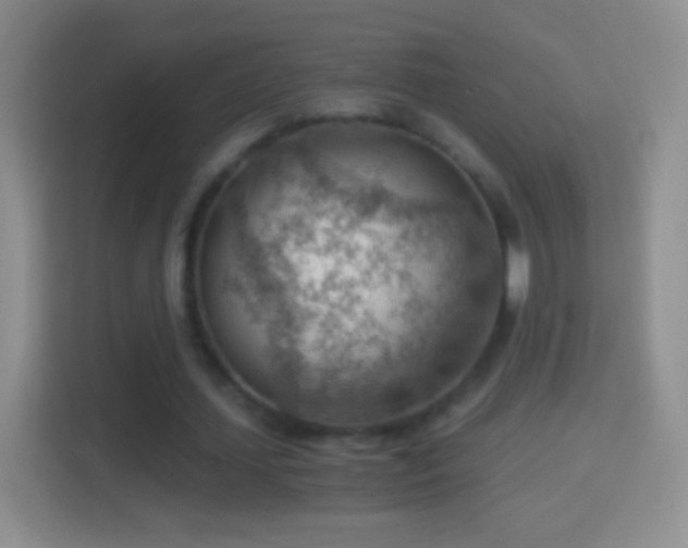 X0000114430627200910231234