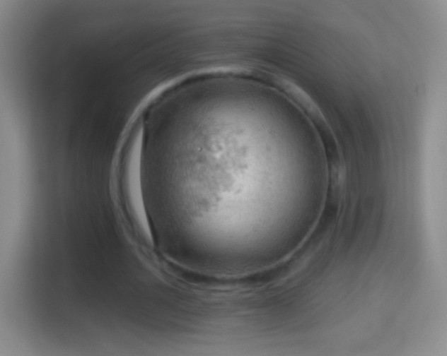 X0000114430628200910231234