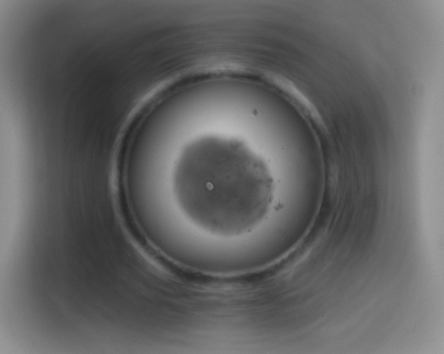 X0000114430629200910231234