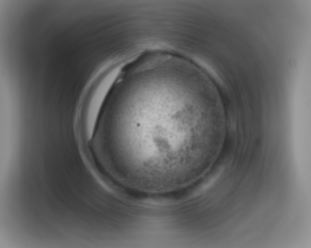 X0000114430630200910231234