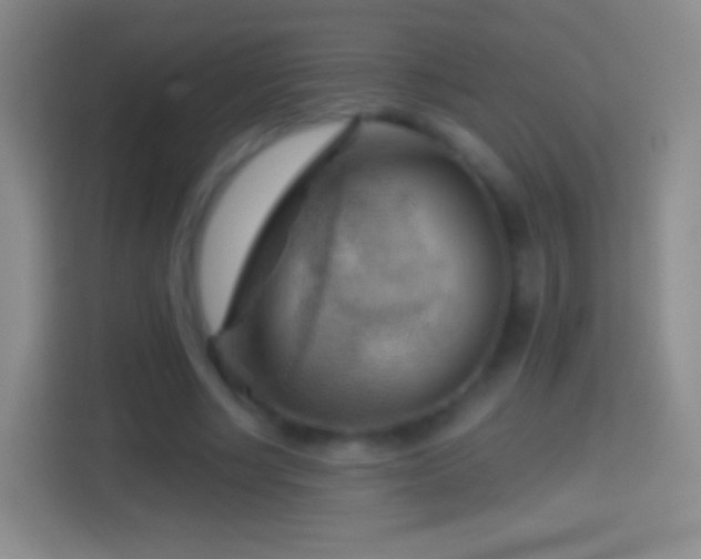 X0000114430634200910231234