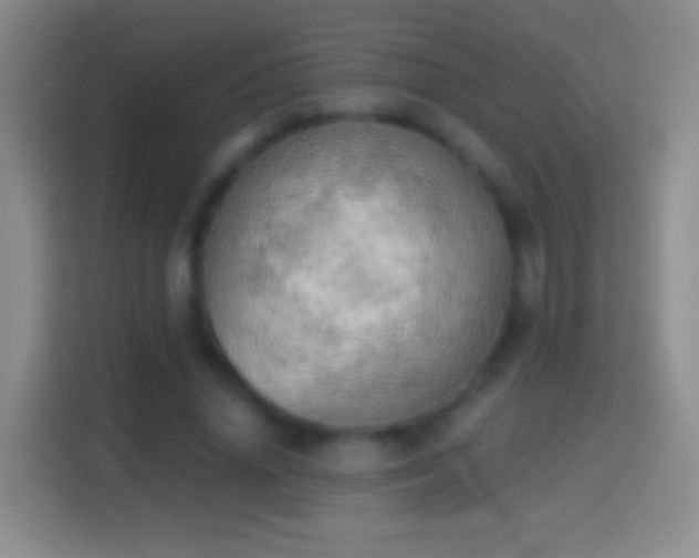 X0000114430636200910231234