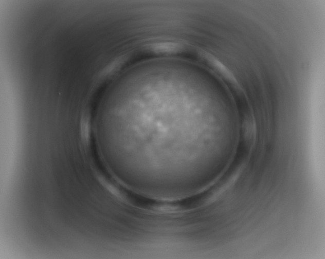 X0000114430637200910231234
