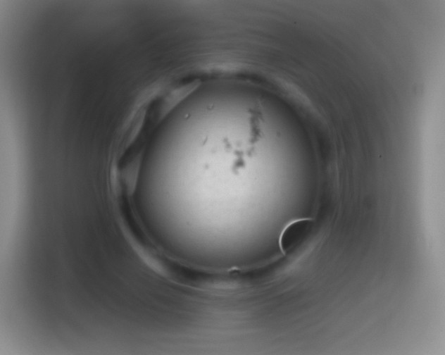 X0000114430638200910231234