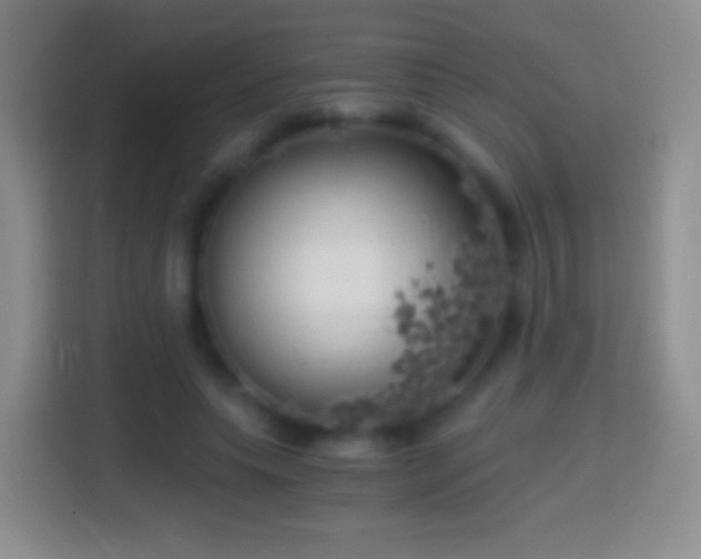 X0000114430639200910231234