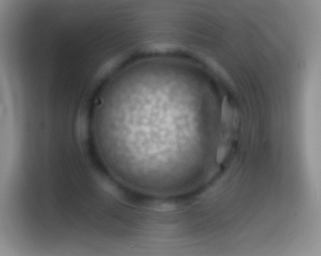 X0000114430640200910231234