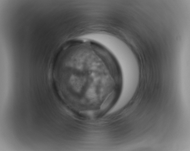 X0000114430641200910231234