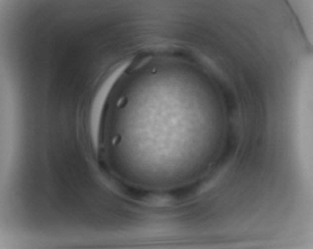 X0000114430642200910231234