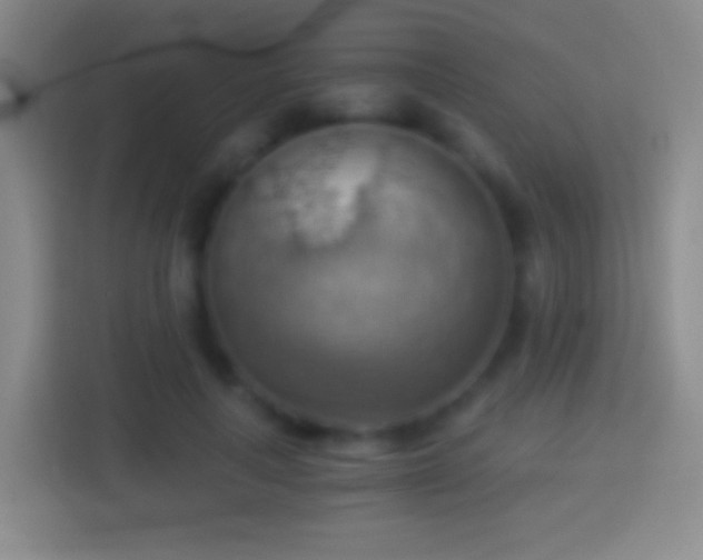 X0000114430643200910231234