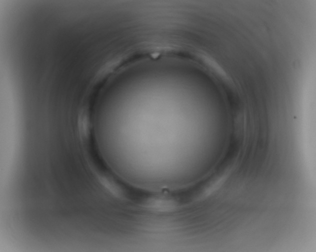 X0000114430644200910231234