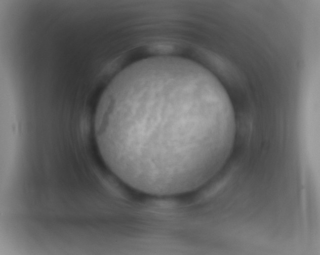 X0000114430645200910231234