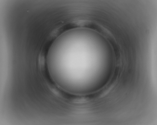 X0000114430646200910231234