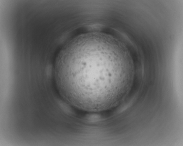 X0000114430649200910231234