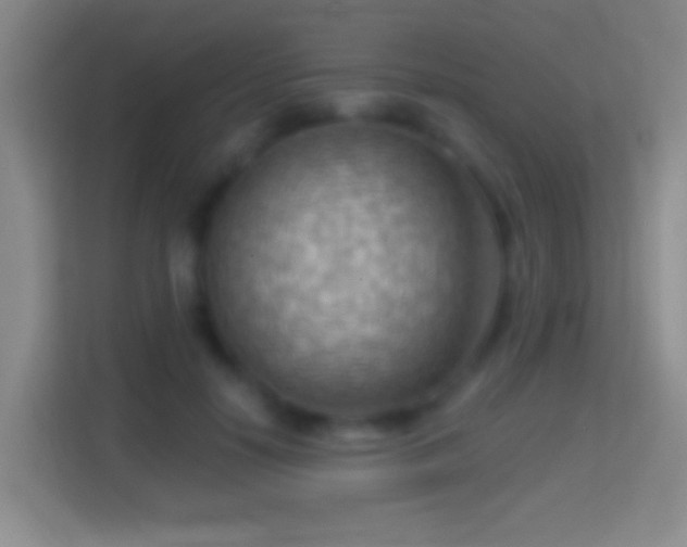 X0000114430650200910231234