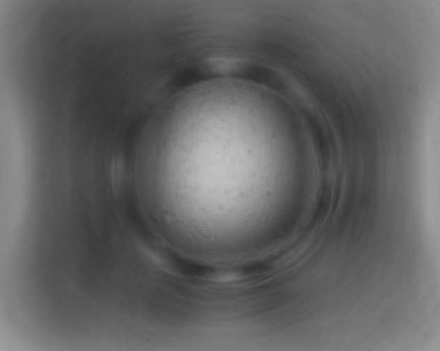 X0000114430651200910231234