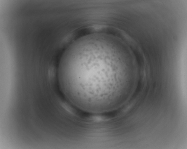 X0000114430654200910231235