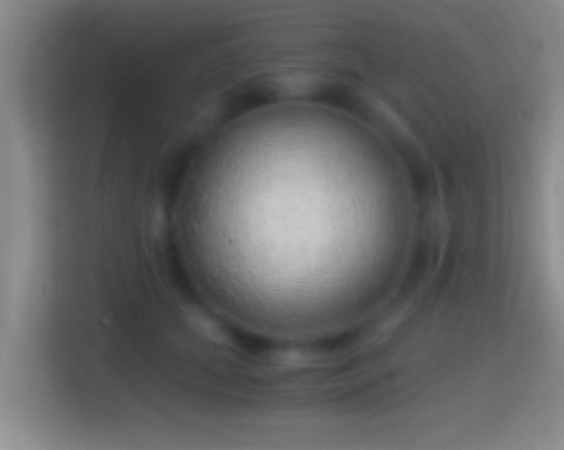 X0000114430655200910231235