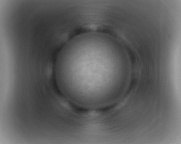 X0000114430656200910231235