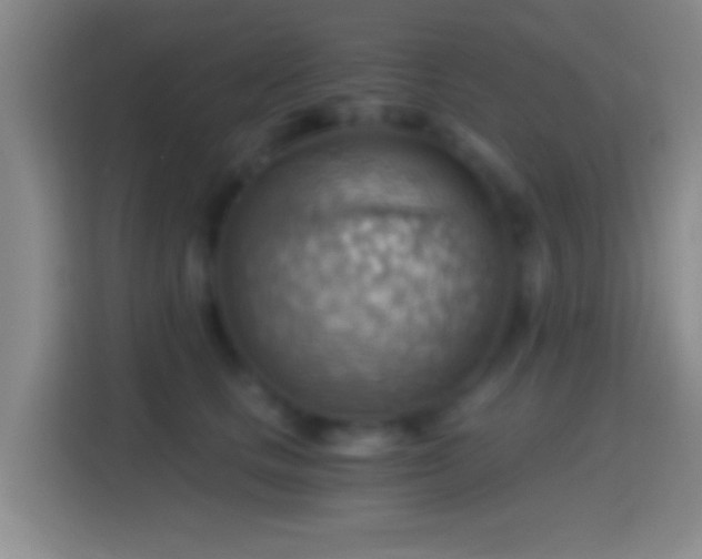 X0000114430661200910231235