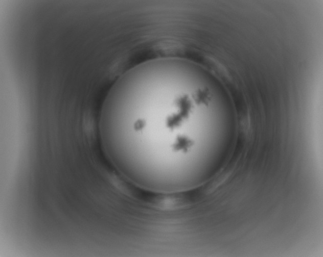 X0000114430662200910231235