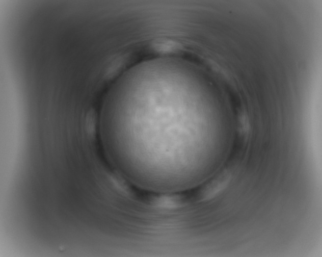 X0000114430664200910231235