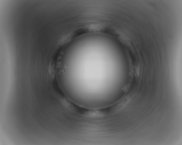 X0000114430666200910231235