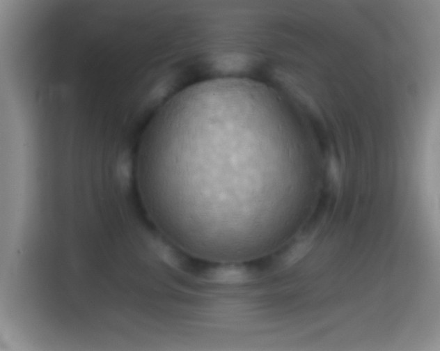 X0000114430668200910231235