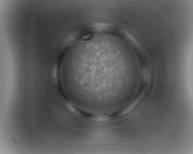 X0000114430670200910231235
