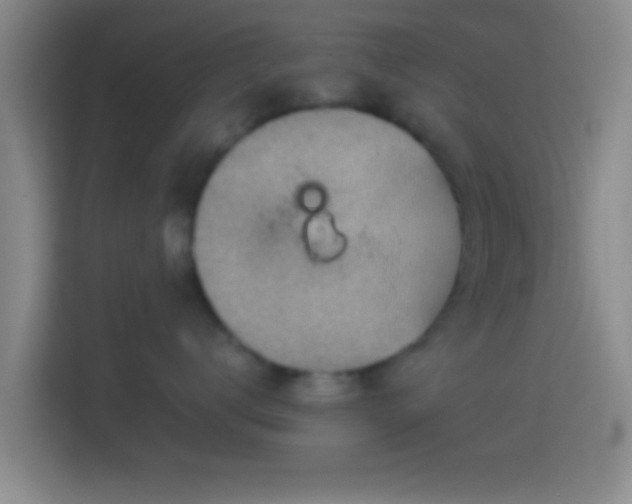 X0000114430672200910231235