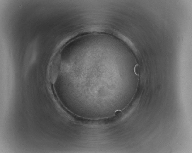 X0000114430673200910231234
