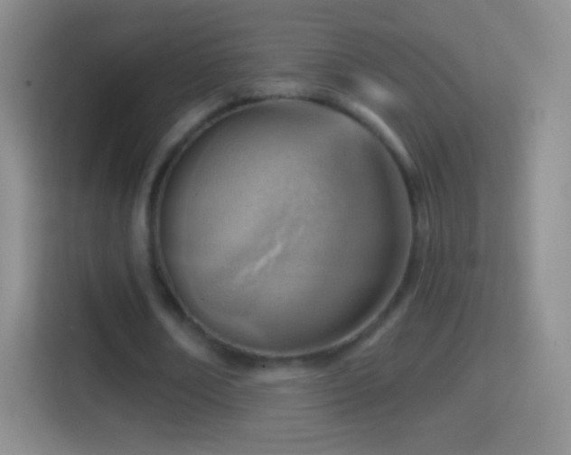 X0000114430674200910231234