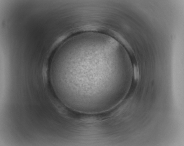 X0000114430675200910231234
